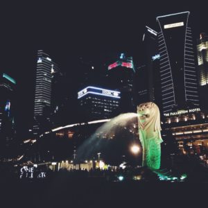 The Merlion Park at night