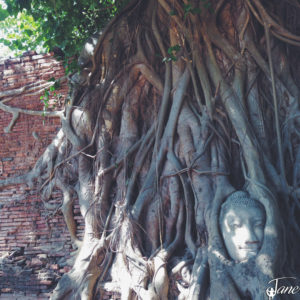 Wat Phra Mahathat