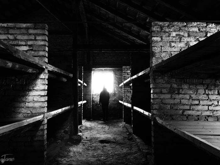 Auschwitz-Birkenau Memorial and Museum